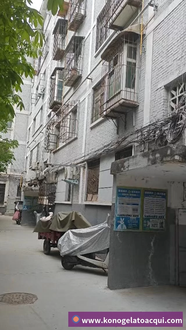 对战数据统计